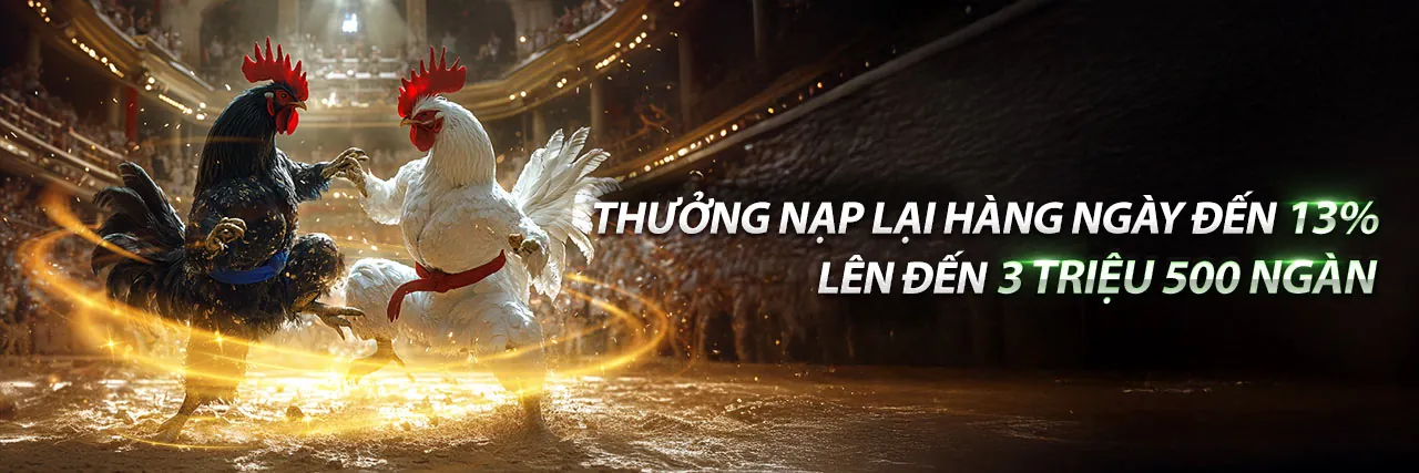 Đá Gà Thomo Ngày 4 Tháng 7